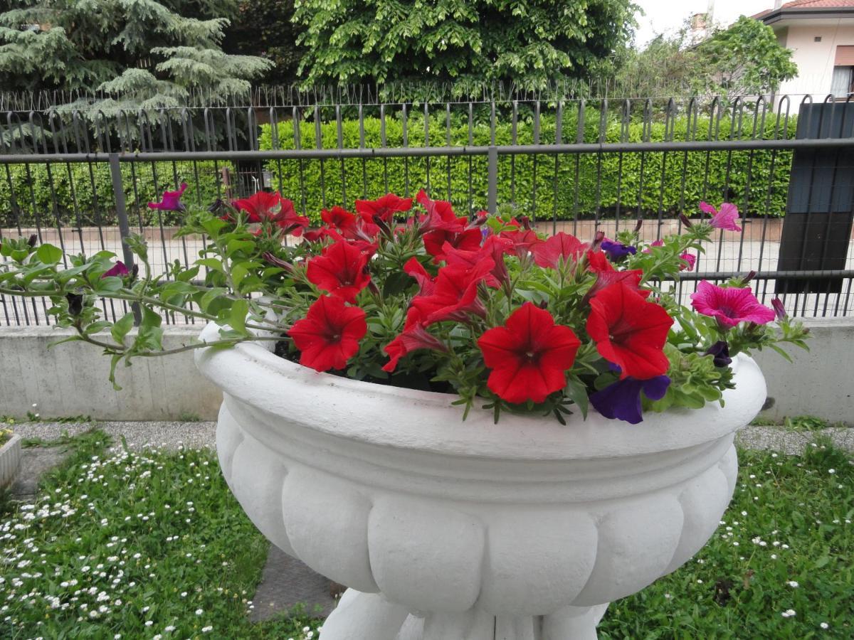 House Dolcevita 30 Min Per Venezia Padova Ngoại thất bức ảnh